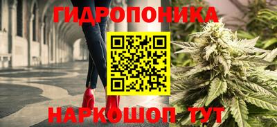 ешки Новозыбков