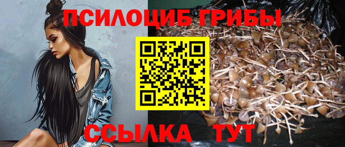 Галлюциногенные грибы MAGIC MUSHROOMS Ялта